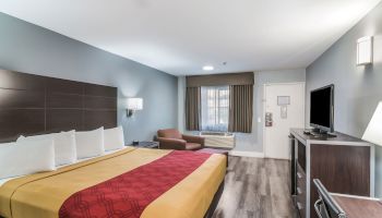 The image shows a modern hotel room with a large bed, chair, window, flat-screen TV, desk, and door, featuring contemporary decor and wooden flooring.